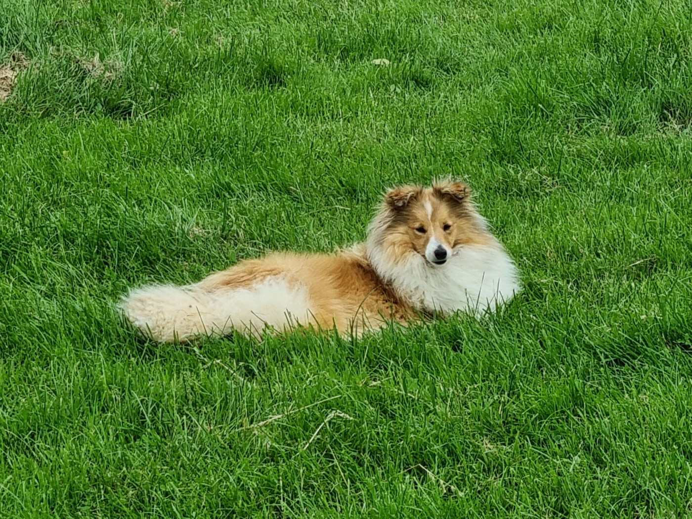 U'RE SO VAIN De la vallée des noyeres