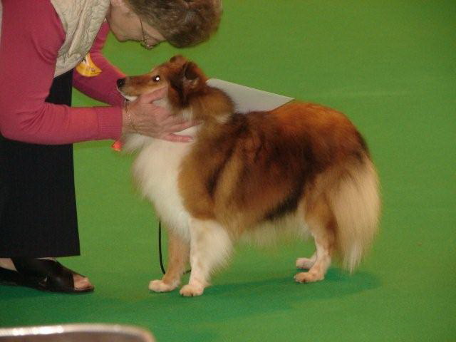 crufts 2007